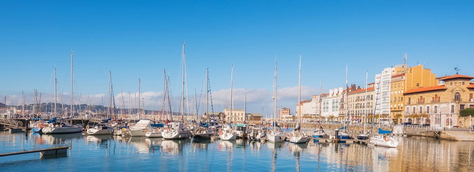 XXX Reunión Bienal Química Orgánica